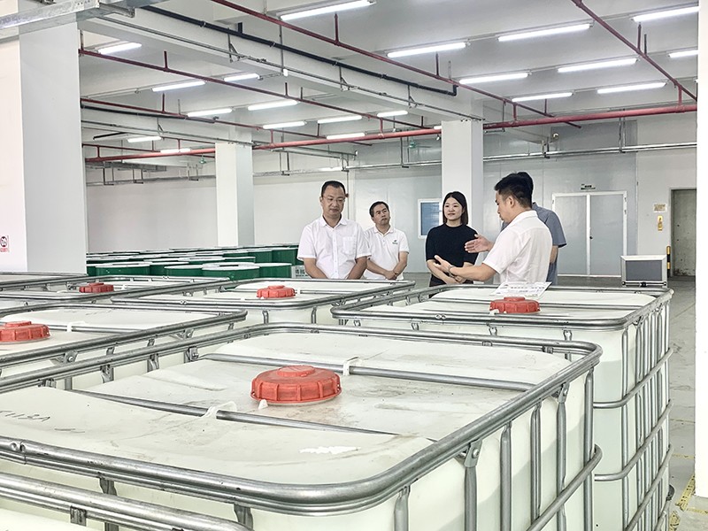 政企连心·共促发展|东莞市东城区政府领导莅临ks凯时官网新材参观指导
